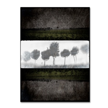 LightBoxJournal 'Black Tree 2' Canvas Art,14x19